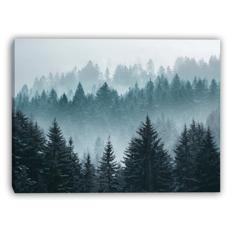 Art mural sur toile Misty Evergreen Valley, H 30 po x l 40 po