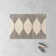 Cotton Moroccan Indoor Rug