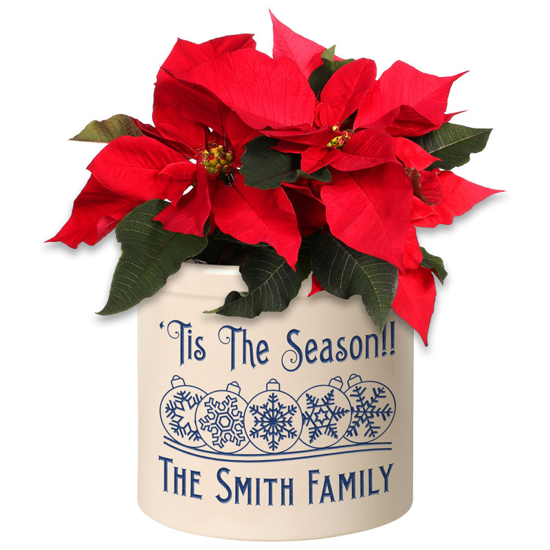 Personalized Snowflake Ornament Ceramic Pot Planter, Yes, Blue Ceramic 