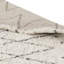 Albers Geometric Shag Area Rug-23990115