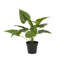 Plante à feuillage artificiel en pot