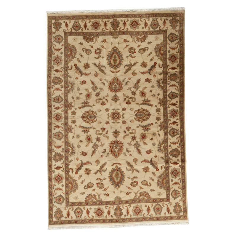 Tapis beige / brun en laine noué à la main de conception unique 6 pi x 9 pi 1 po