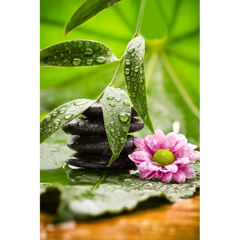 Spa Treatment by Gitusik - Wrapped Canvas Print, 46cm H x 30cm W x 3.8cm D