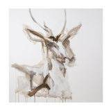 Deer Head Study II Painting by Mia Malcolm Studio