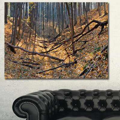 « thick automne forest panorama », reproduction de photo sur toile tendue