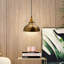 Barnhill 1 - Light Pendant-1258277106