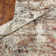 Lightfoot Abstract Indoor Rug