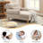 Davene Upholstered Chaise Lounge with Adjustable Backrest-1105410059