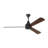 Ceiling Fan with LED Lights-220343687-211481074