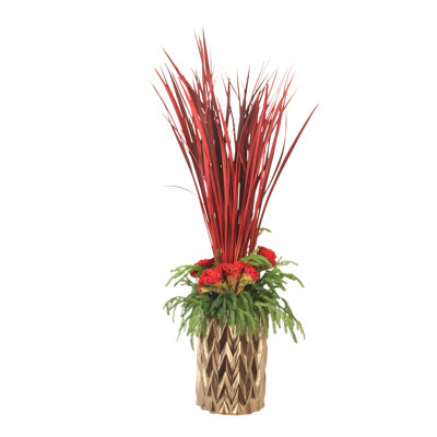 Herbe rouge avec crête de coq et pin dans un vase en zigzag doré