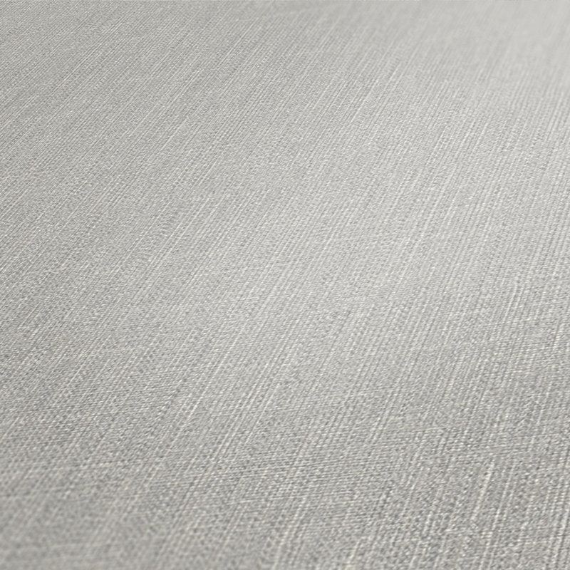 Rahnuma 10.05m x 53cm Matte Double Roll, Grey