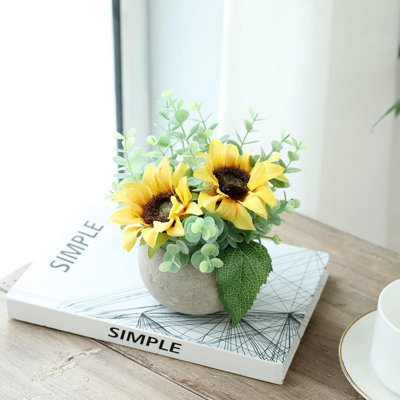 6 plantes