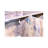 Cat litter box cabinet-1403077922