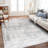 Roshun Noor Vintage Machine Washable Area Rugs-31129375-66908398