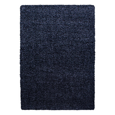 Riam Shag Area Rug