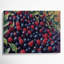 «Fruit Boysenberry», art mural sur toile mauve-1679581583