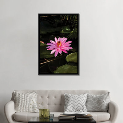 «Gros plan sur une fleur de nénuphar, Moorea, Tahiti, Polynésie française I», reproduction de photo sur toile