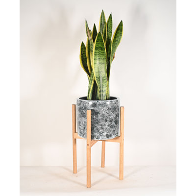 Hinshaw Handmade Ceramic Pot Planter