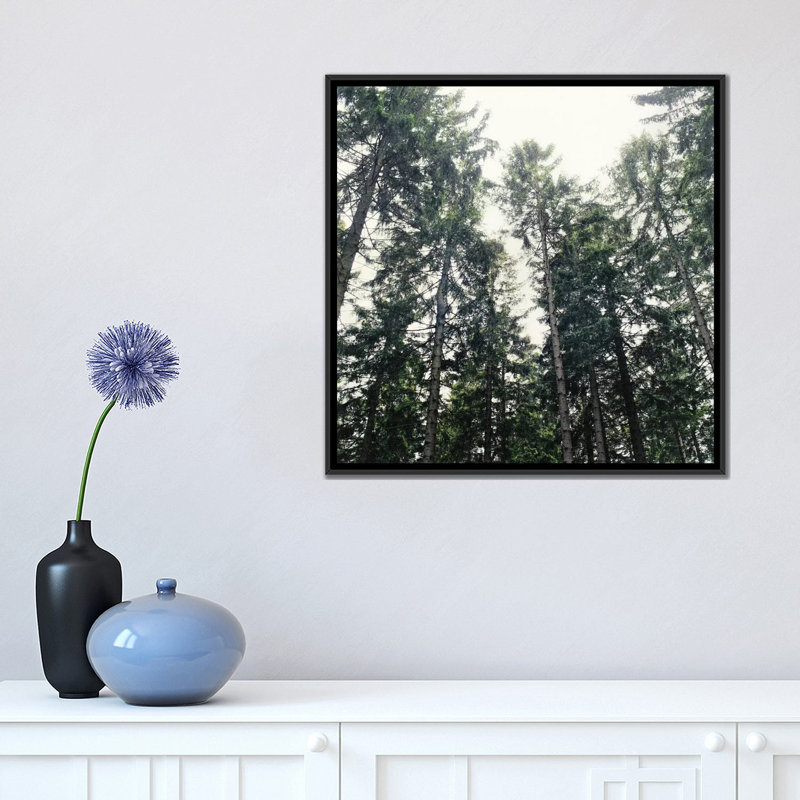 «Up in the Woods», reproduction de photo sur toile tendue, H 18 po x l 18 po x P 1,5 po, Toile avec cadre noir, Non mat