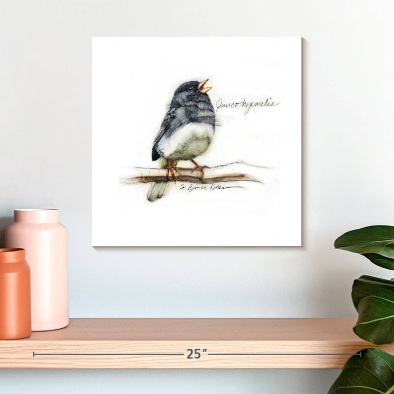 Junco II, 16" H x 16" W