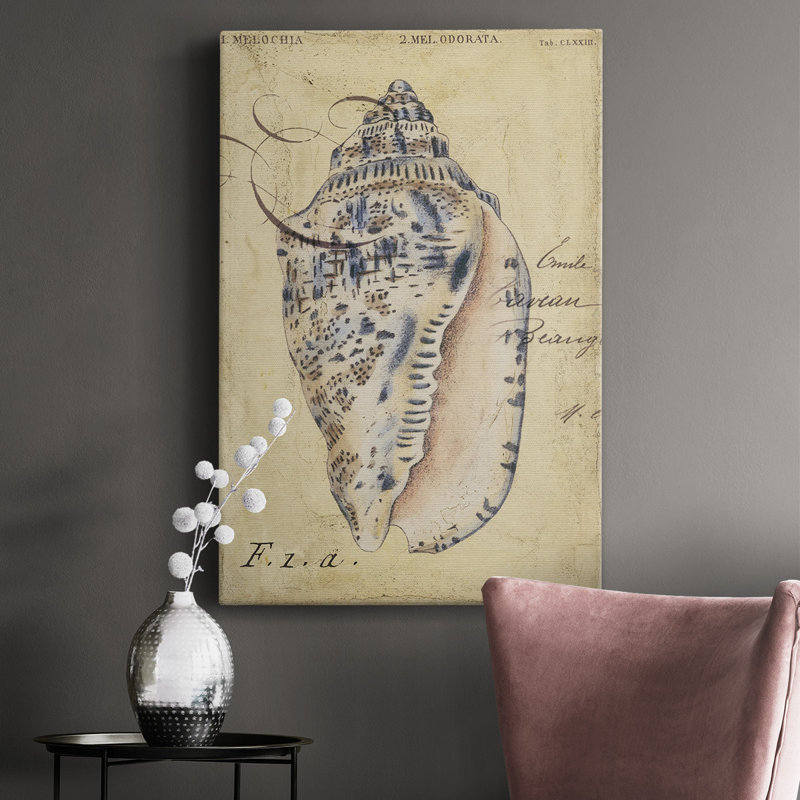 Seashell Ephemera I - impression sur toile tendue, L 32 po x H 48 po