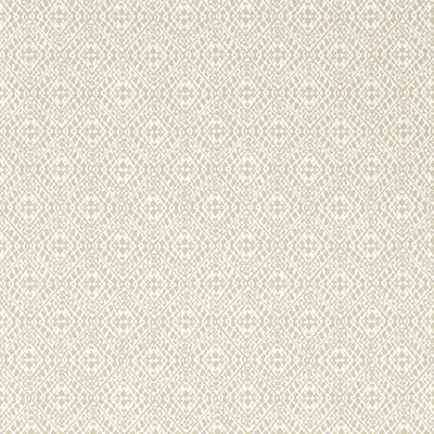 Pinjara Trellis 10.05m x 52cm Matte Wallpaper Roll