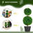 Zeigler 23.6'' H Artificial Boxwood Topiary Tree