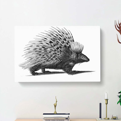 Porcupine In Black And White by George Shaw - Wrapped Canvas