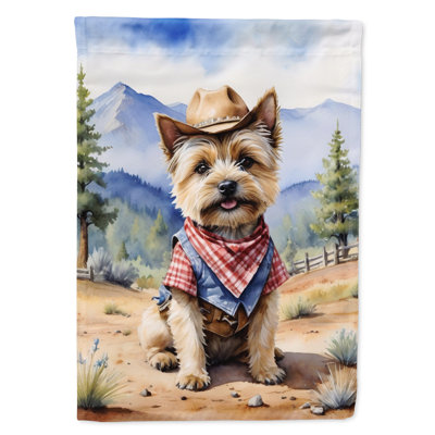 Drapeau Cowboy Welcome House