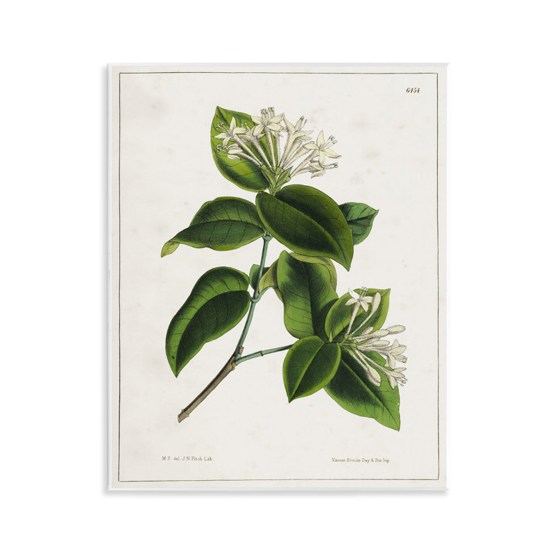 «Blooming Vintage Study» par Tina Higgins Designs, Inc.