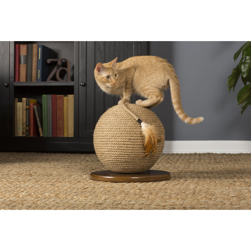 Borrego Scratching Sphere
