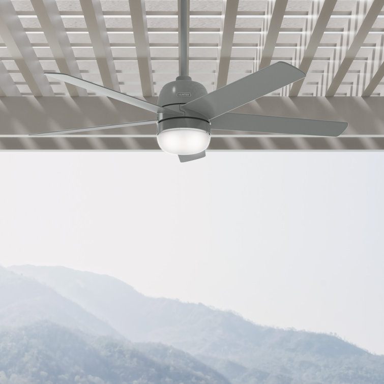 52" Anorak 5 - Blade Outdoor Standard Ceiling Fan with Lights and Wall Control