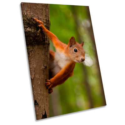 Red Squirrel Tree Picture 1 Piece Wrapped Canvas Wall Art