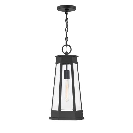 Oaklawn 1-Light Outdoor Hanging Lantern in Matte Black
