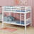 Bunk Bed With Ladder