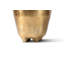 Rowan Orchid Arrangement in Gold Planter-318355483
