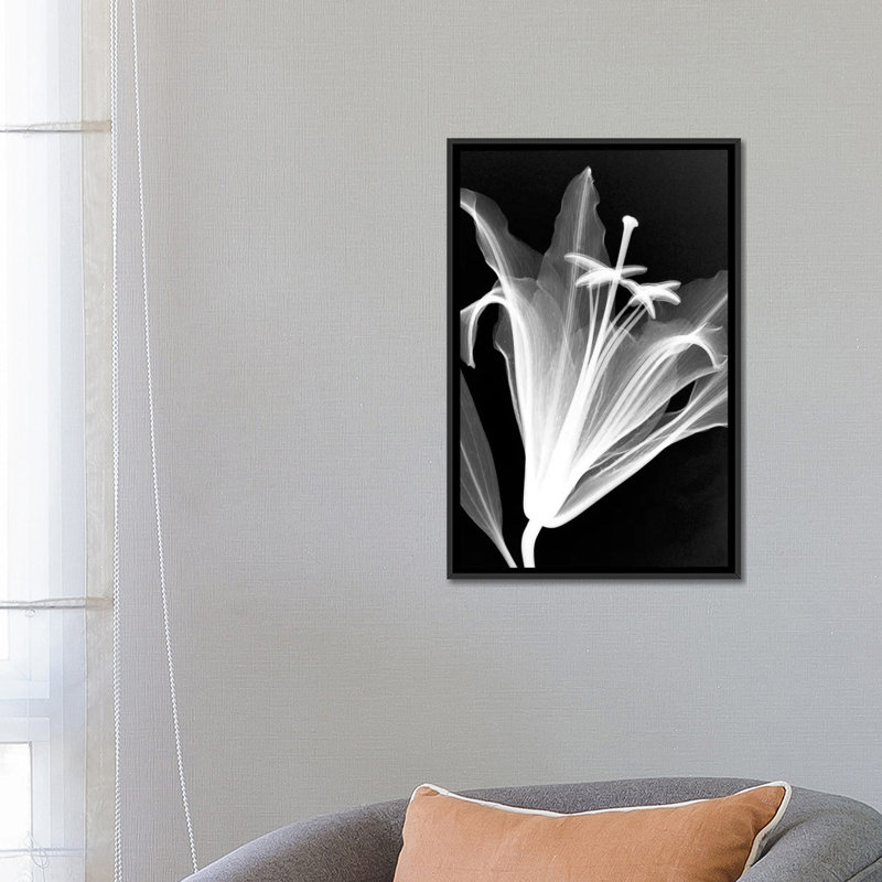 «Lily» par Hong Pham, reproduction sur toile tendue sur châssis, H 26 po x l 18 po x P 1,5 po, Toile avec cadre noir