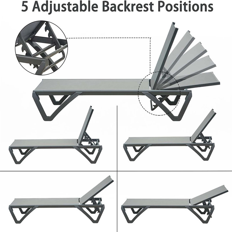 Outdoor Lounge Chair, 2 Pieces Aluminum Plastic Patio Chaise Lounge With 5 Position Adjustable Backrest, Gray