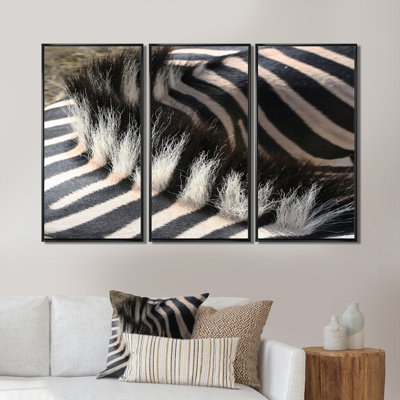 " Detail Of Black And White Zebra Lines V " 3 - Pieces