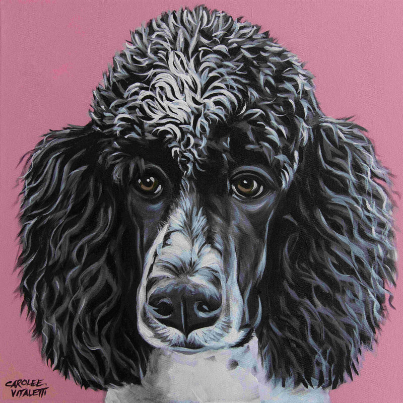 Caniche noir - peinture sur toile tendue, H 12 po x l 12 po