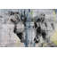 Parvez Taj - Wrapped Canvas Print-19838549