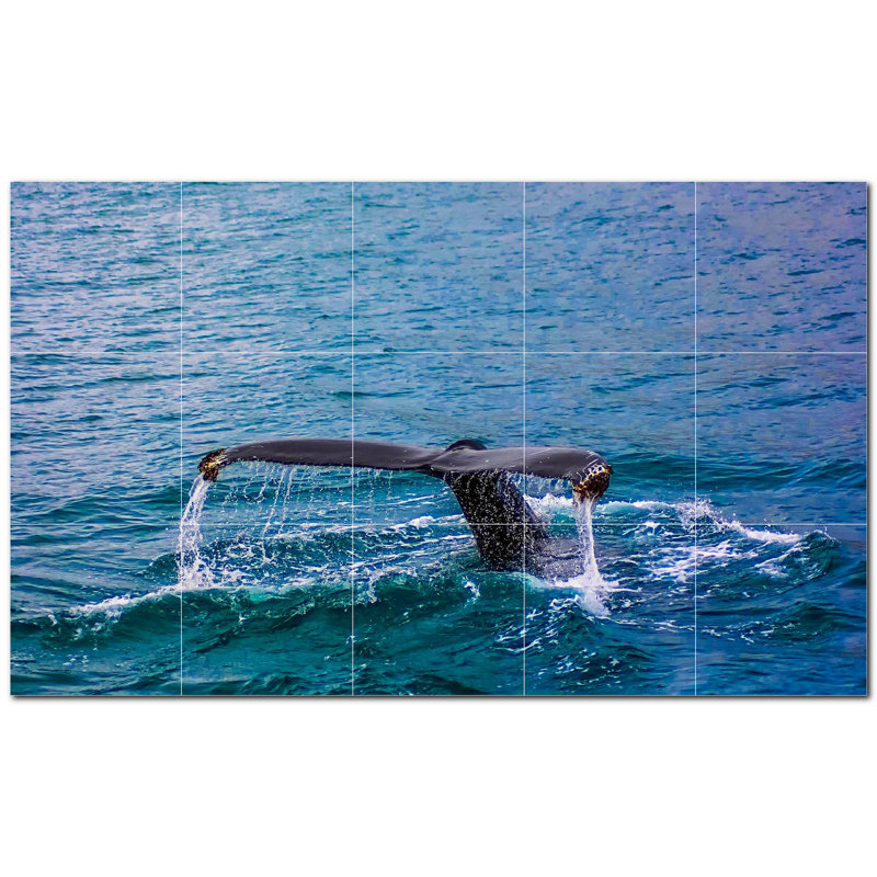 Baleine photo 6 x 6