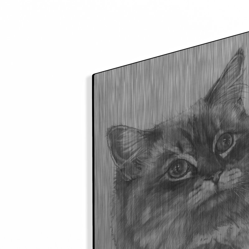 «Kitty» par Barbara Keith, H 16 po x l 12 po