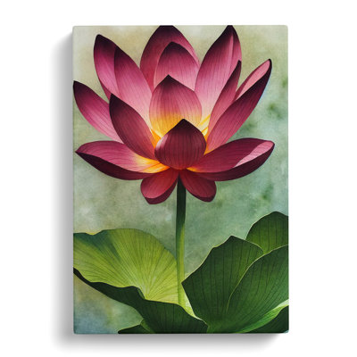 Watercolour Lotus Flower - Wrapped Canvas