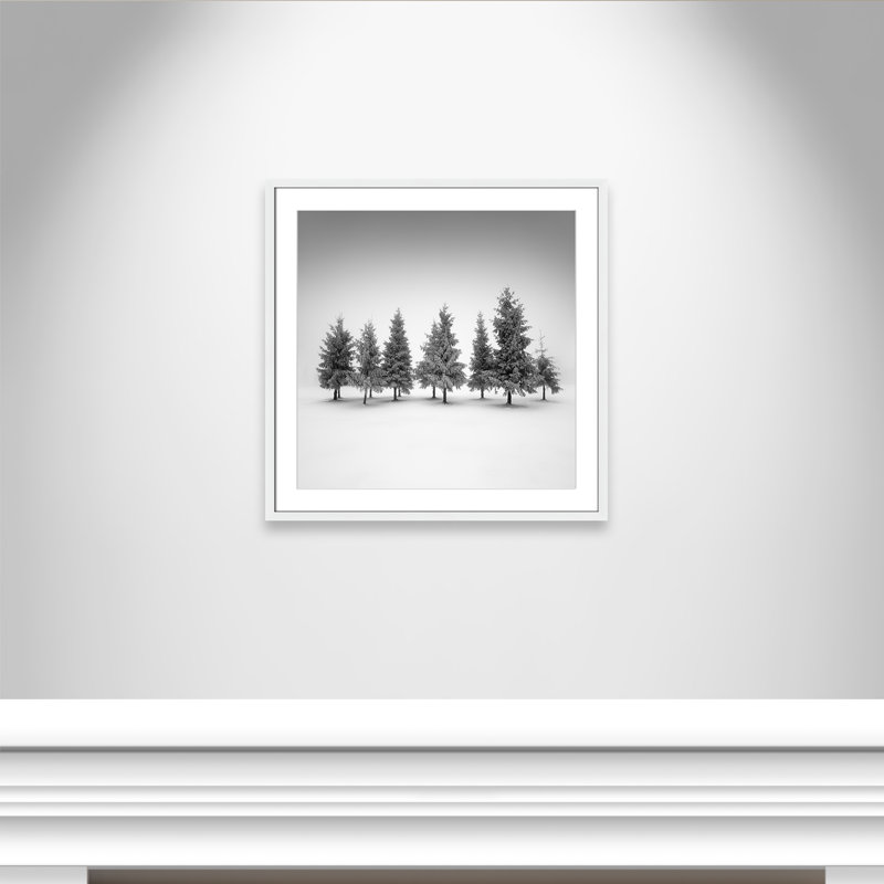Impression d'épinette par Daniel, Blanc satiné, L 27,5 po x H 27,5 po, Imprimé mat