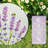 Outdoor End Table For Patio, Small Round Glass Accent Side Table,  Design, Suitable For Garden, Balcony, Porch, And Indoor Home Décor Use (Lavender)