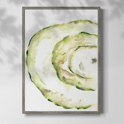 Lichen Halo V Framed Print - Solid Wood