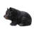 Baby Black Bear Crawling