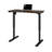 Adjustable Standing Desk-443380253-443380251