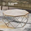 Nayi Frame Coffee Table